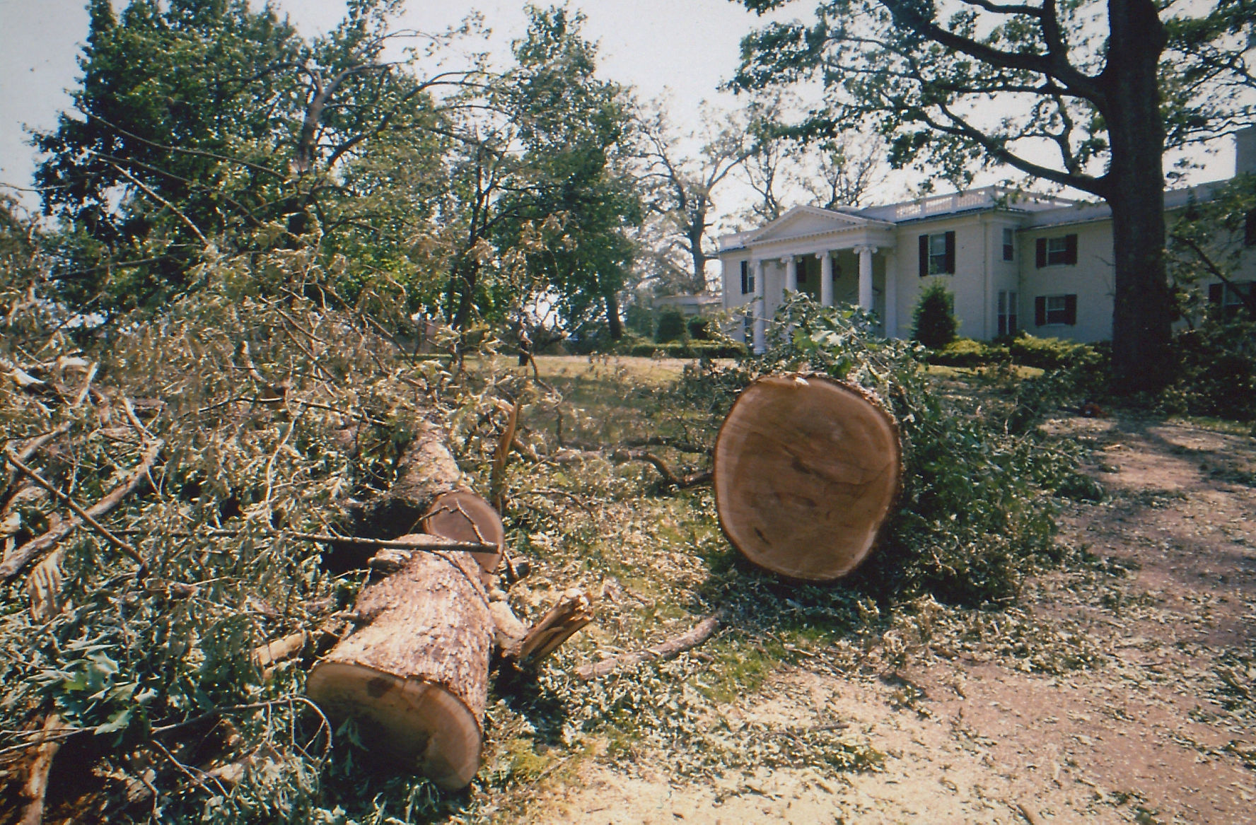 Windstorm of 1993